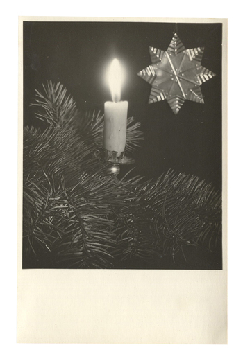 Fotograf: Hickstein, Carmen, Copyright: 1