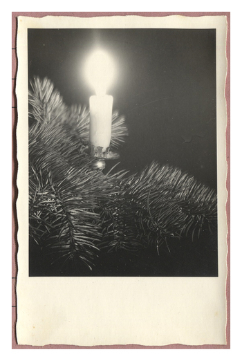 Fotograf: Hickstein, Carmen, Copyright: 1