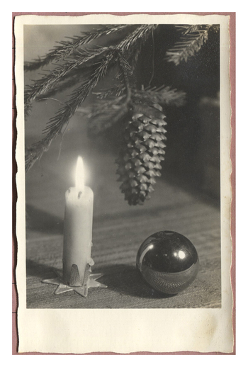 Fotograf: Hickstein, Carmen, Copyright: 1