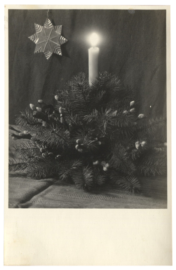 Fotograf: Hickstein, Carmen, Copyright: 1