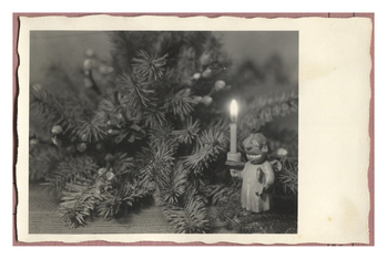 Fotograf: Hickstein, Carmen, Copyright: 1