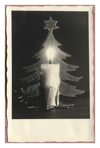 Fotograf: Hickstein, Carmen, Copyright: 1