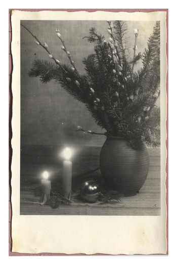 Fotograf: Hickstein, Carmen, Copyright: 1