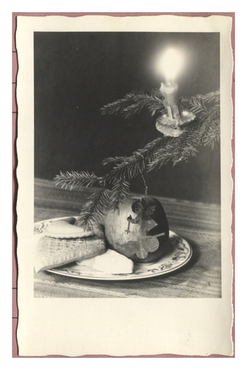 Fotograf: Hickstein, Carmen, Copyright: 1