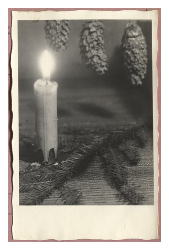 Photographer: Hickstein, Carmen, Copyright: 1