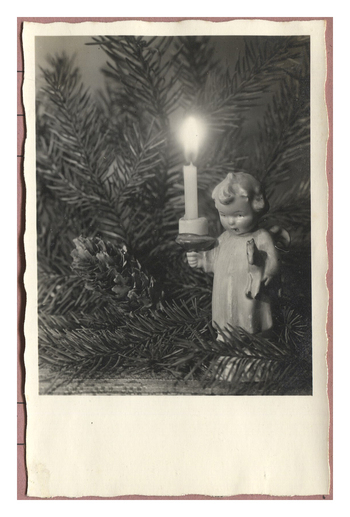 Fotograf: Hickstein, Carmen, Copyright: 1