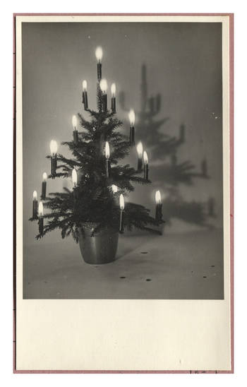 Fotograf: Hickstein, Carmen, Copyright: 1