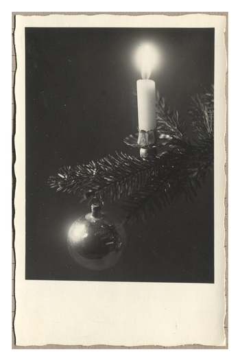 Fotograf: Hickstein, Carmen, Copyright: 1