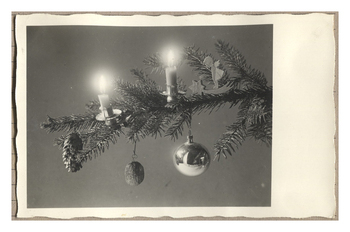 Fotograf: Hickstein, Carmen, Copyright: 1