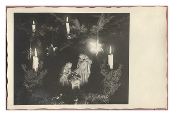 Fotograf: Hickstein, Carmen, Copyright: 1