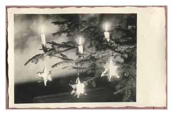 Fotograf: Hickstein, Carmen, Copyright: 1