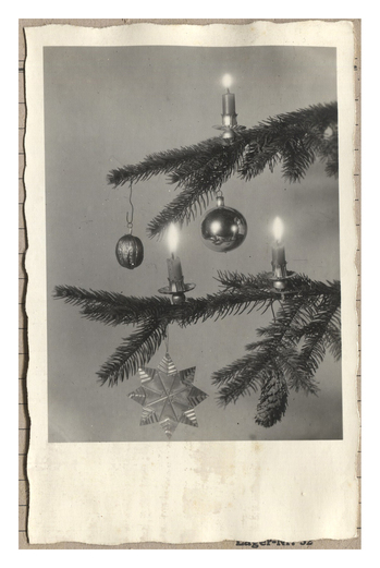 Fotograf: Hickstein, Carmen, Copyright: 1