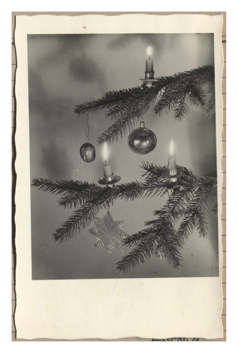 Fotograf: Hickstein, Carmen, Copyright: 1
