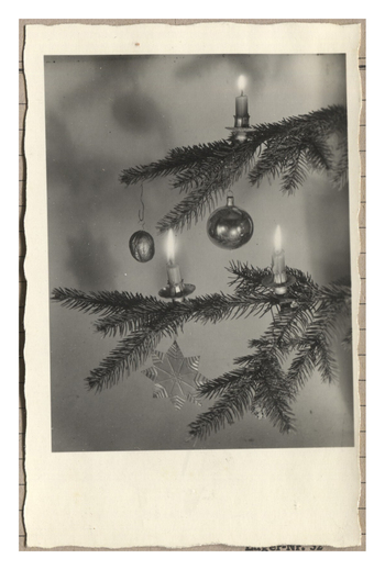 Fotograf: Hickstein, Carmen, Copyright: 1