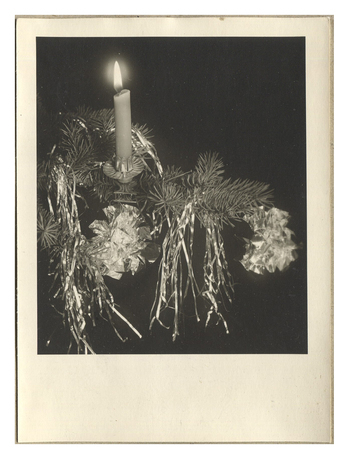 Fotograf: Hickstein, Carmen, Copyright: 1