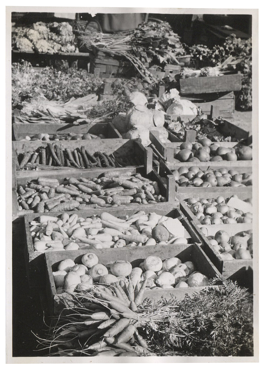 Fotograf: Hickstein, Carmen, Copyright: 1