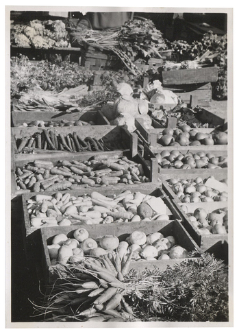 Fotograf: Hickstein, Carmen, Copyright: 1