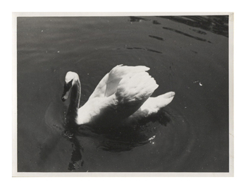 Fotograf: Hickstein, Carmen, Copyright: 1