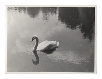 Fotograf: Hickstein, Carmen, Copyright: 1