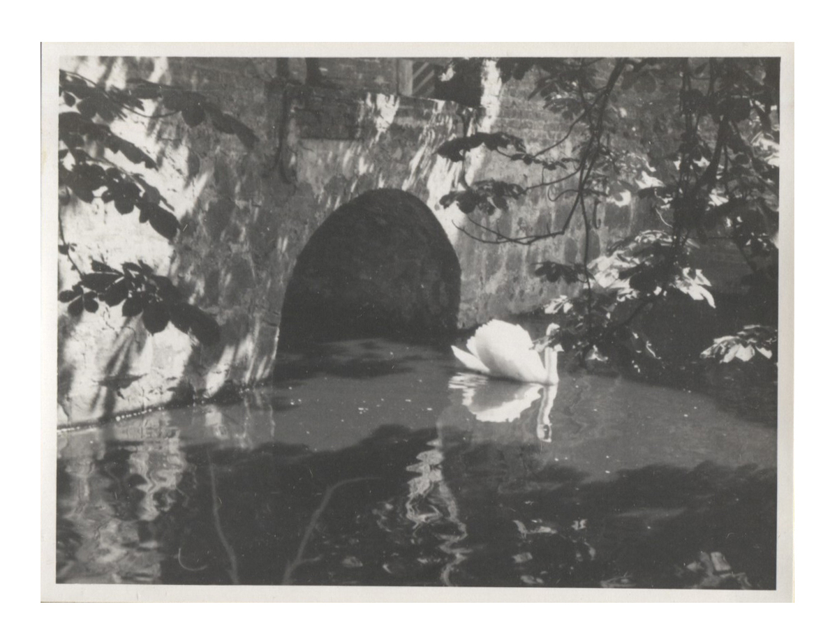 Fotograf: Hickstein, Carmen, Copyright: 1