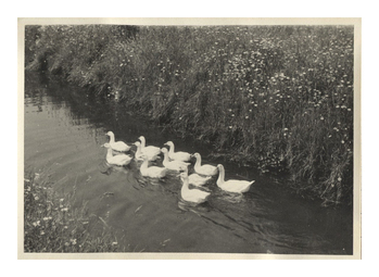 Fotograf: Hickstein, Carmen, Copyright: 1