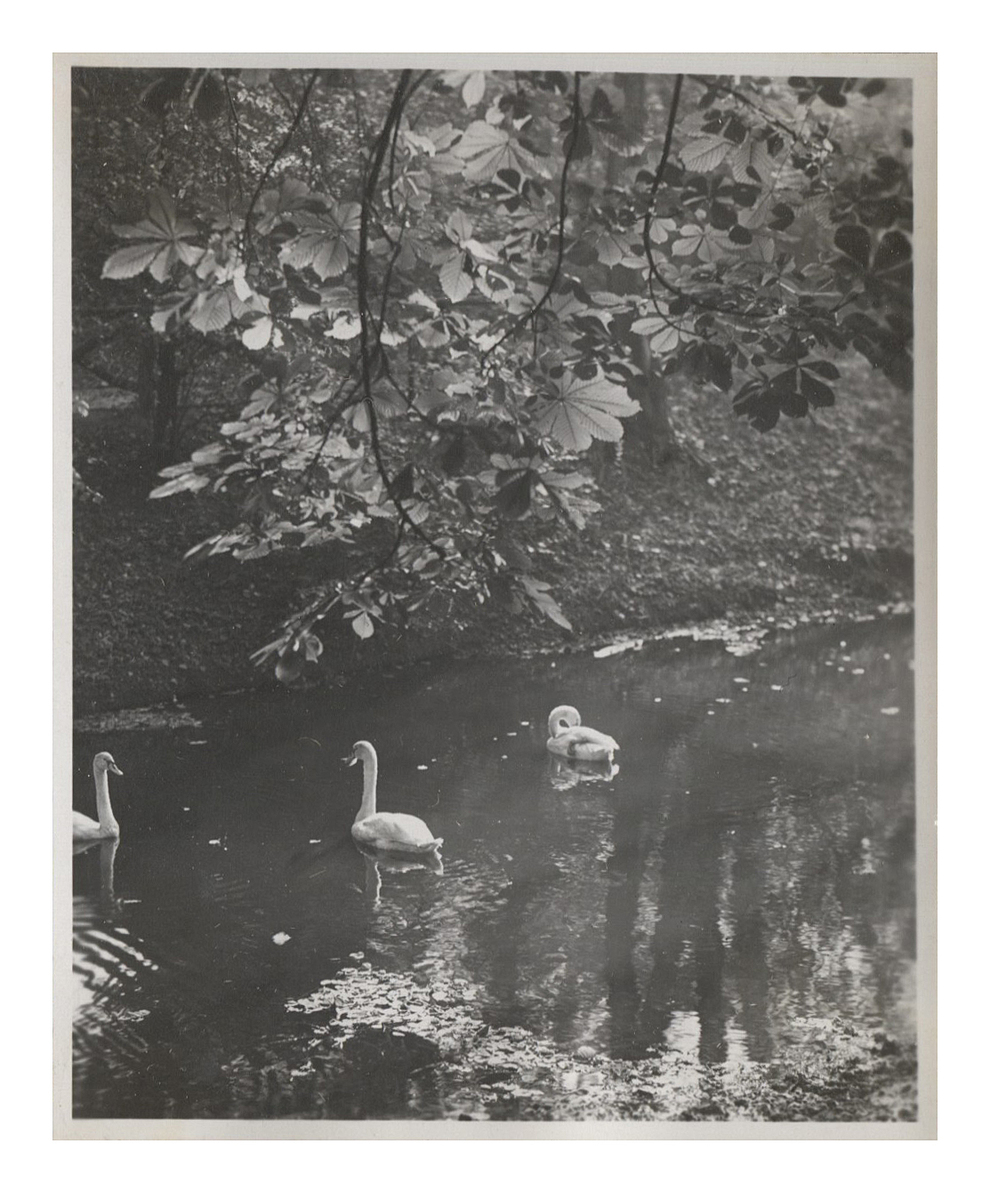 Fotograf: Hickstein, Carmen, Copyright: 1