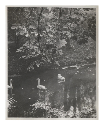 Fotograf: Hickstein, Carmen, Copyright: 1