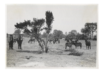 Fotograf: Hickstein, Carmen, Copyright: 1