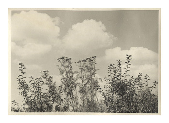 Fotograf: Hickstein, Carmen, Copyright: 1