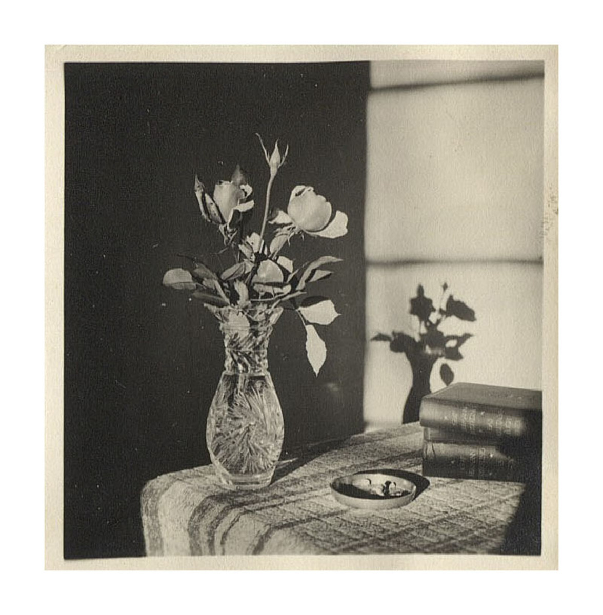 Fotograf: Hickstein, Carmen, Copyright: 1