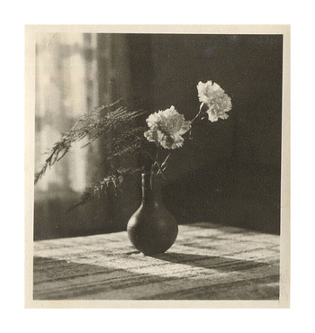 Fotograf: Hickstein, Carmen, Copyright: 1