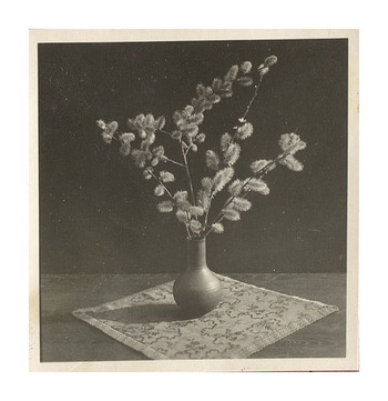 Fotograf: Hickstein, Carmen, Copyright: 1