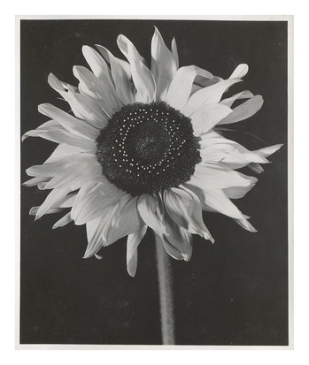 Fotograf: Hickstein, Carmen, Copyright: 1