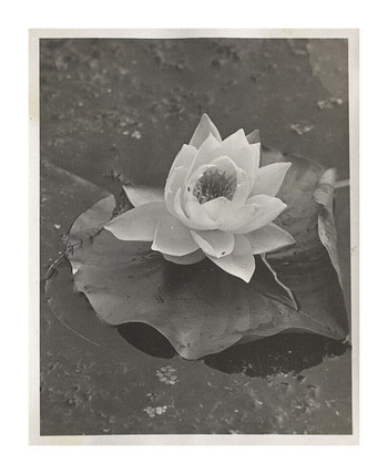 Fotograf: Hickstein, Carmen, Copyright: 1