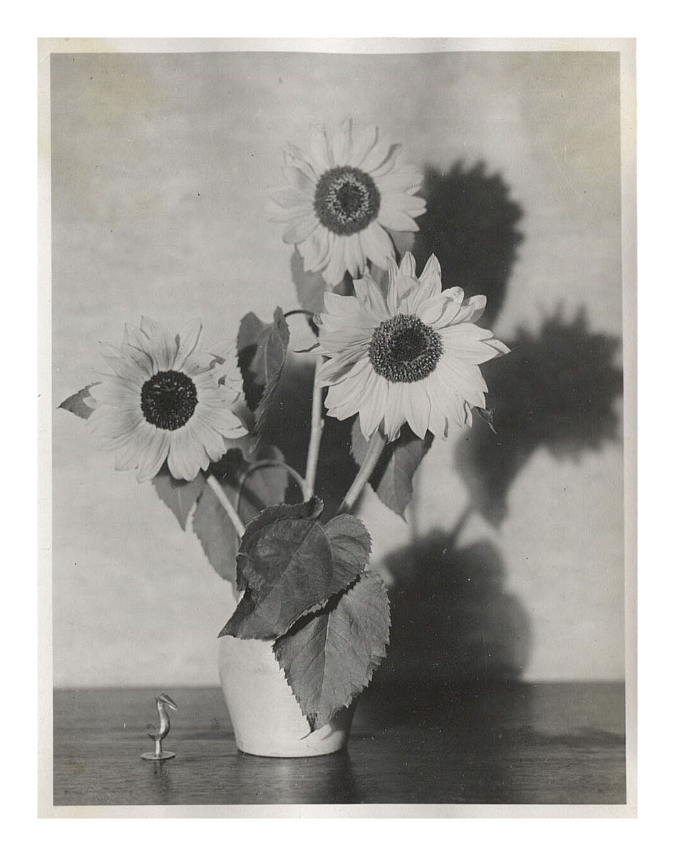 Fotograf: Hickstein, Carmen, Copyright: 1