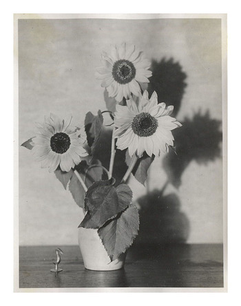 Fotograf: Hickstein, Carmen, Copyright: 1