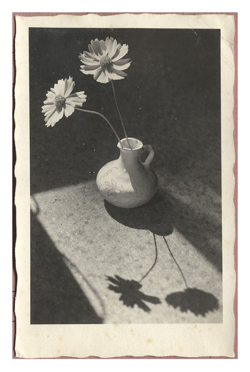 Fotograf: Hickstein, Carmen, Copyright: 1