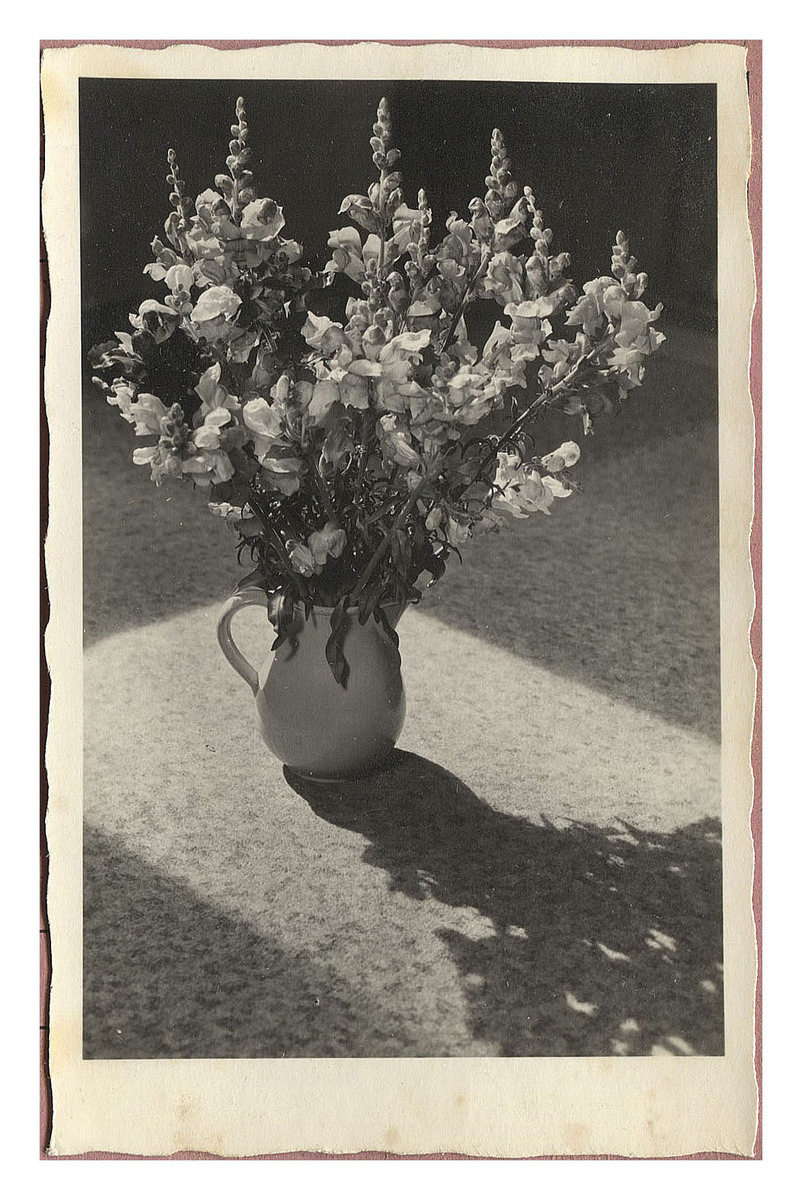 Fotograf: Hickstein, Carmen, Copyright: 1