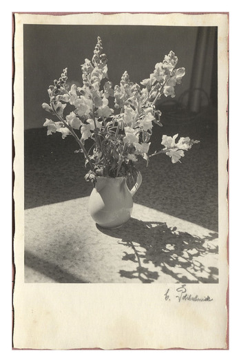 Fotograf: Hickstein, Carmen, Copyright: 1