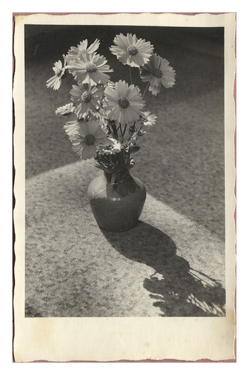 Fotograf: Hickstein, Carmen, Copyright: 1