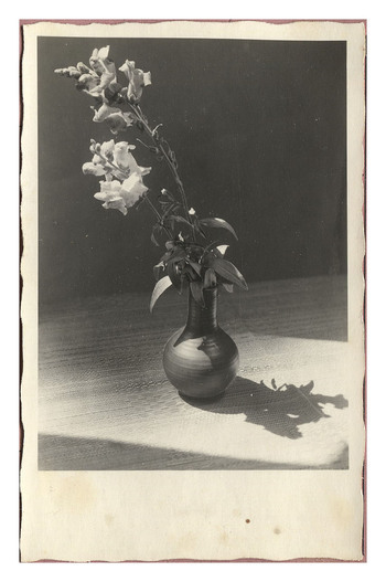 Fotograf: Hickstein, Carmen, Copyright: 1