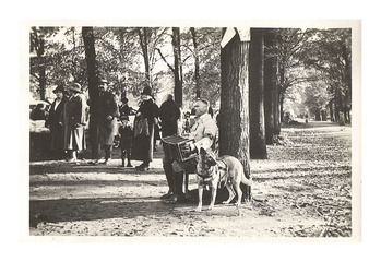 Fotograf: Hickstein, Carmen, Copyright: 1