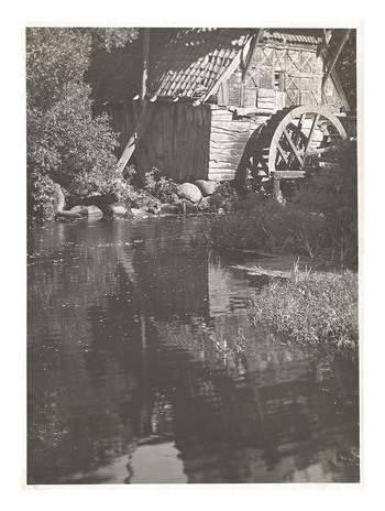 Fotograf: Hickstein, Carmen, Copyright: 1