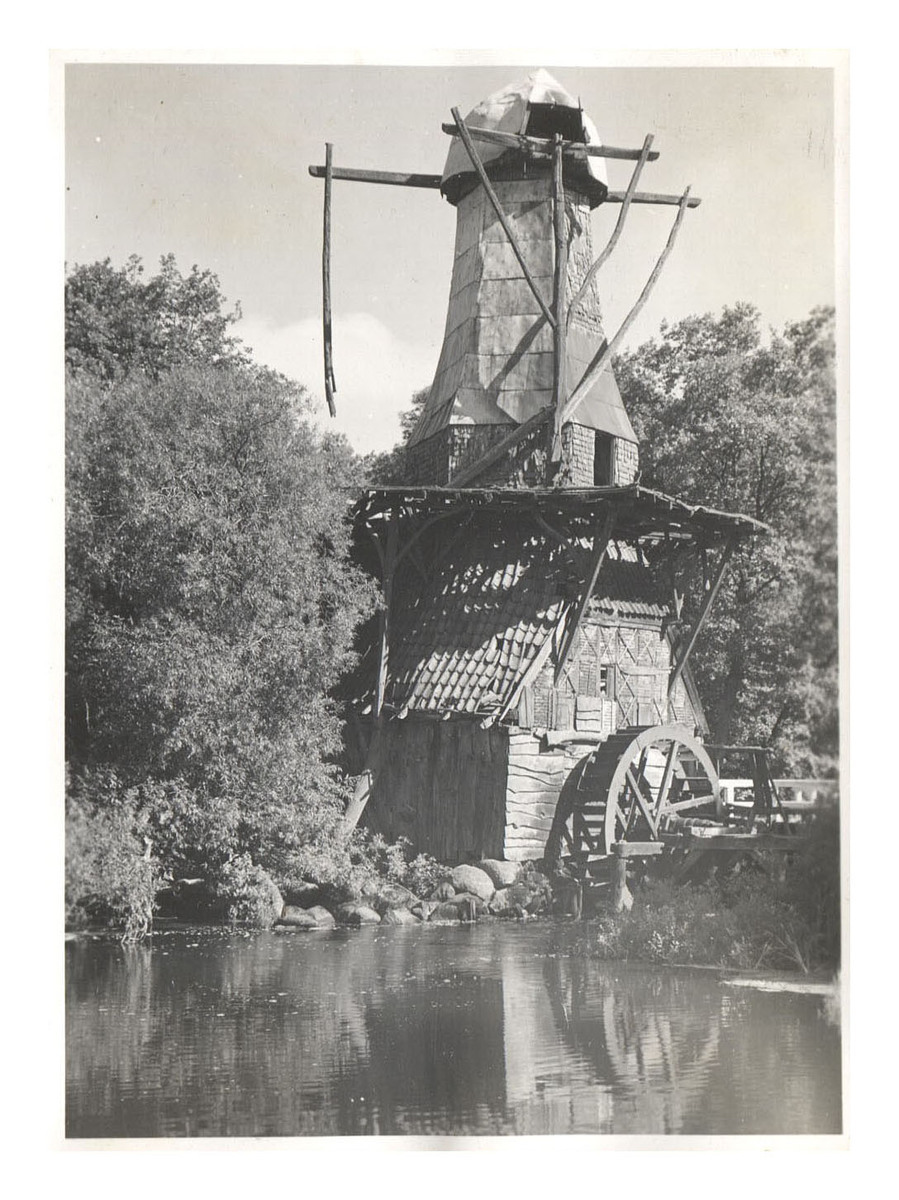 Fotograf: Hickstein, Carmen, Copyright: 1