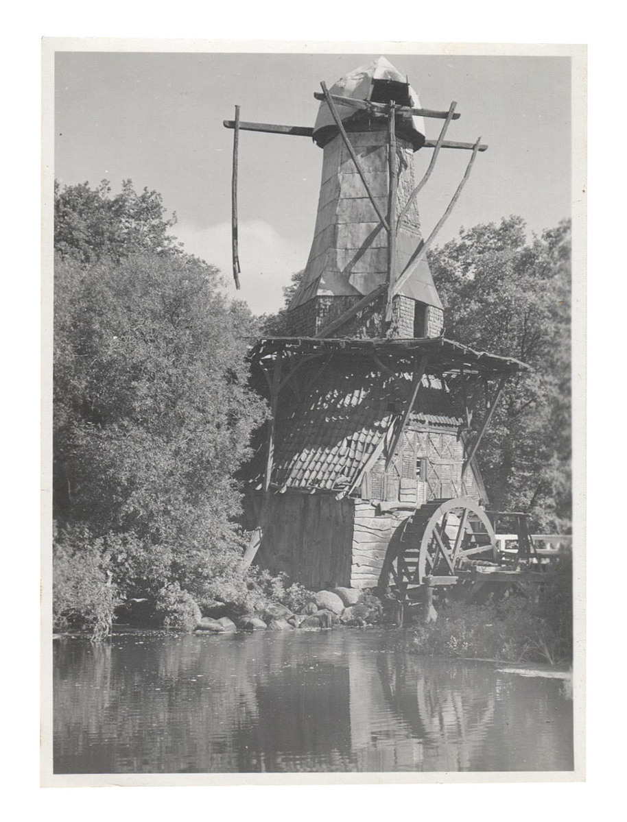 Fotograf: Hickstein, Carmen, Copyright: 1