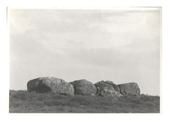 Fotograf: Hickstein, Carmen, Copyright: 1