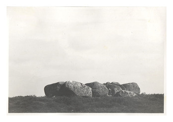 Fotograf: Hickstein, Carmen, Copyright: 1