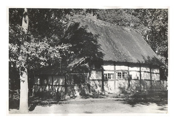 Fotograf: Hickstein, Carmen, Copyright: 1