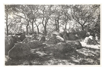 Fotograf: Hickstein, Carmen, Copyright: 1