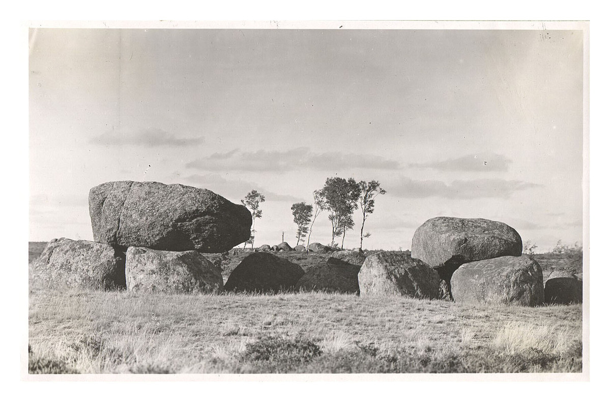 Fotograf: Hickstein, Carmen, Copyright: 1